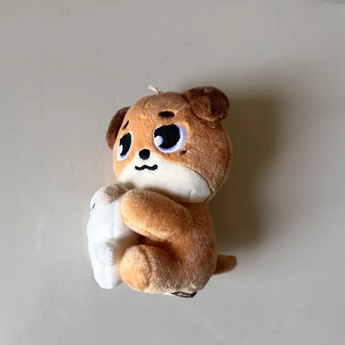 thumbnail-1
